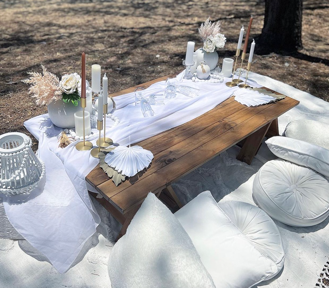 Proposal Set Up, Proposal Styling, Perfect Proposal, Mackay Proposals, Beach Proposals, Picnic Proposals